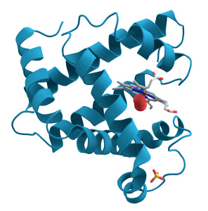 Protein- Structure, Properties and Function