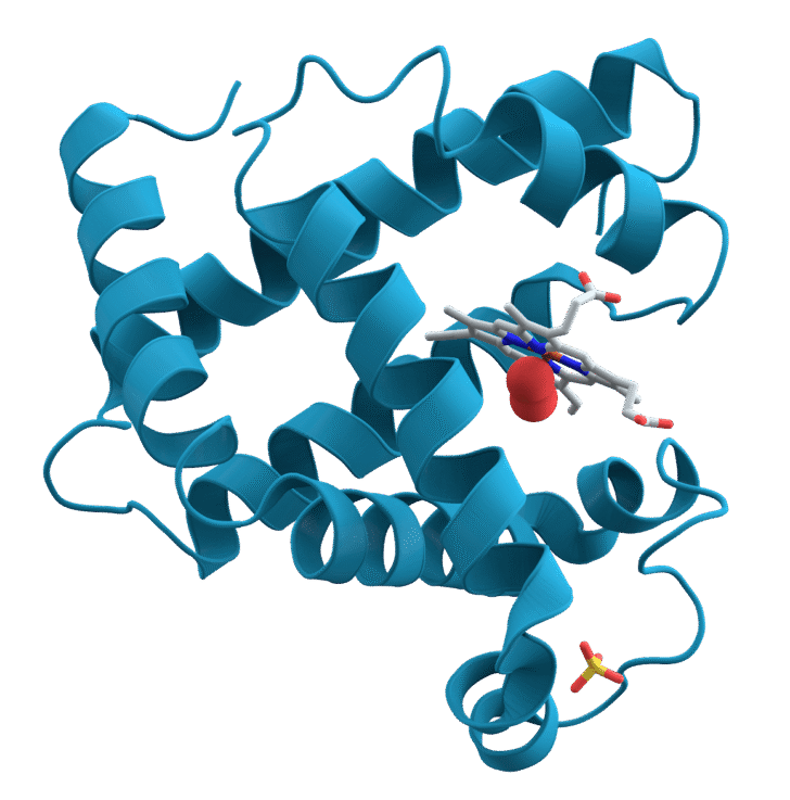 Protein- Structure, Properties and Function
