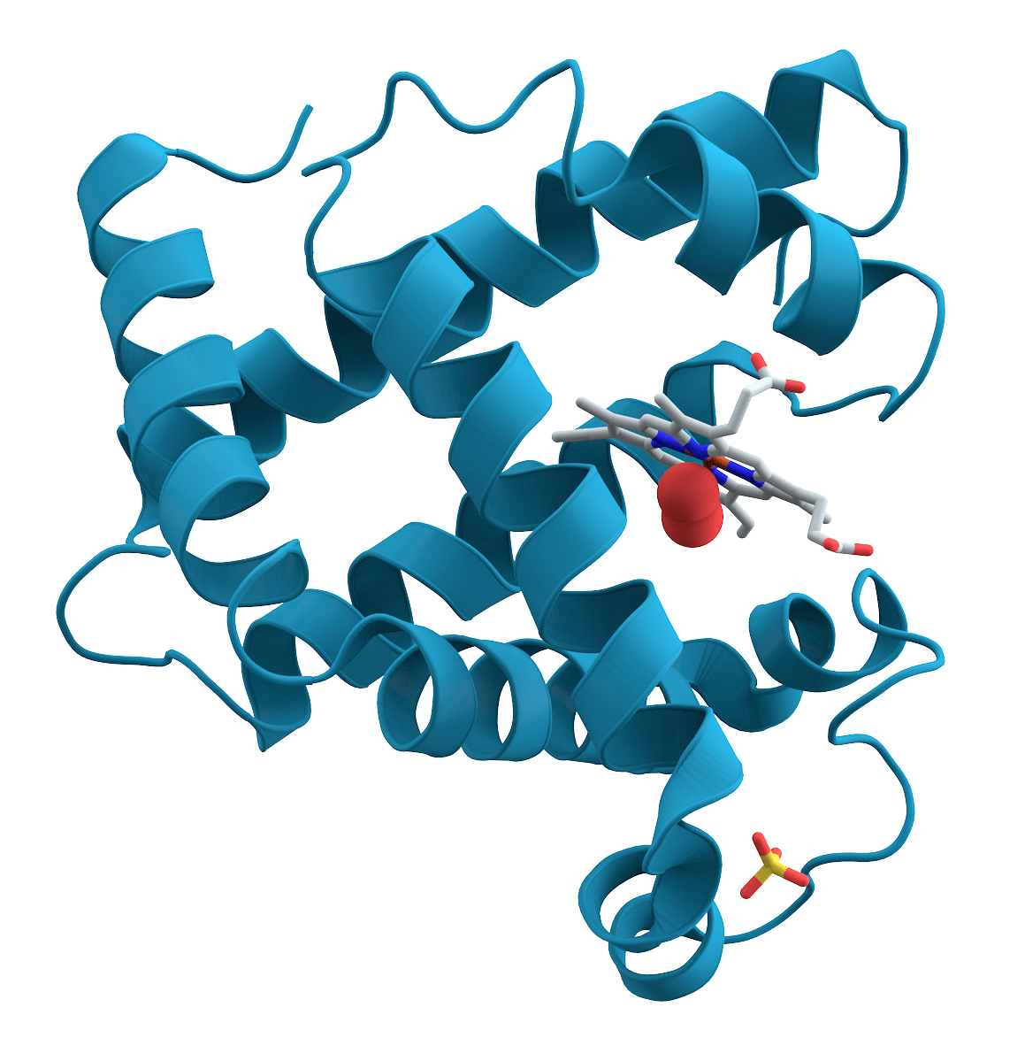 Protein Structure, Properties and Function Biology Ease