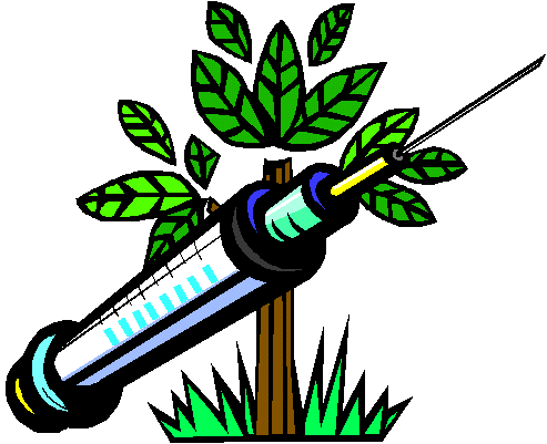 plant based vaccine