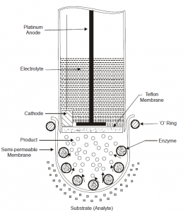 Types of Electrodes