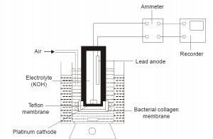 Types of Electrodes