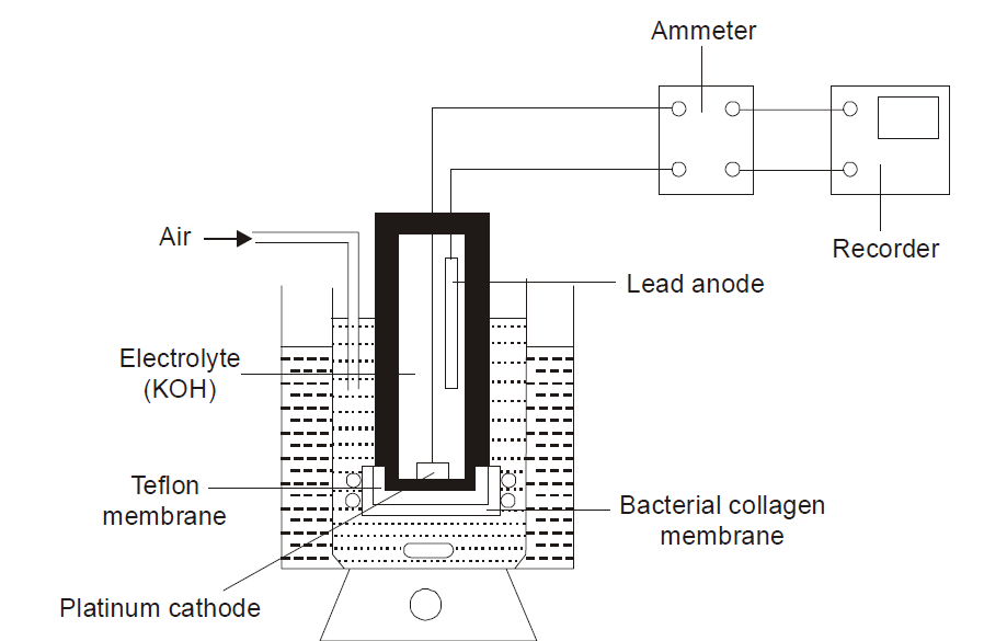 Types of Electrodes Biology Ease