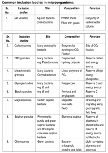 Cell Inclusions and Storage Granules - Biology Ease