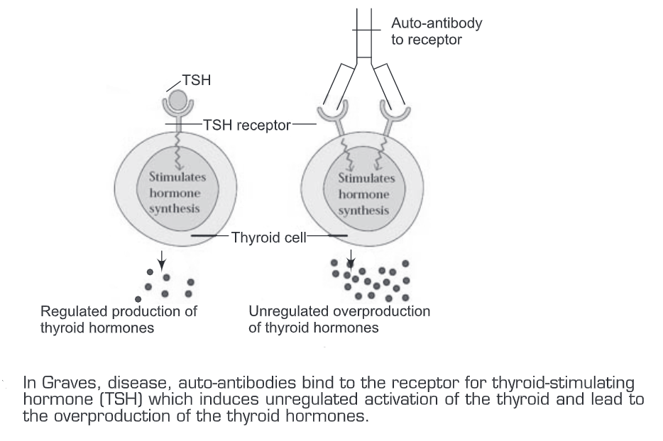 Autoimmunity and Autoimmune Diseases