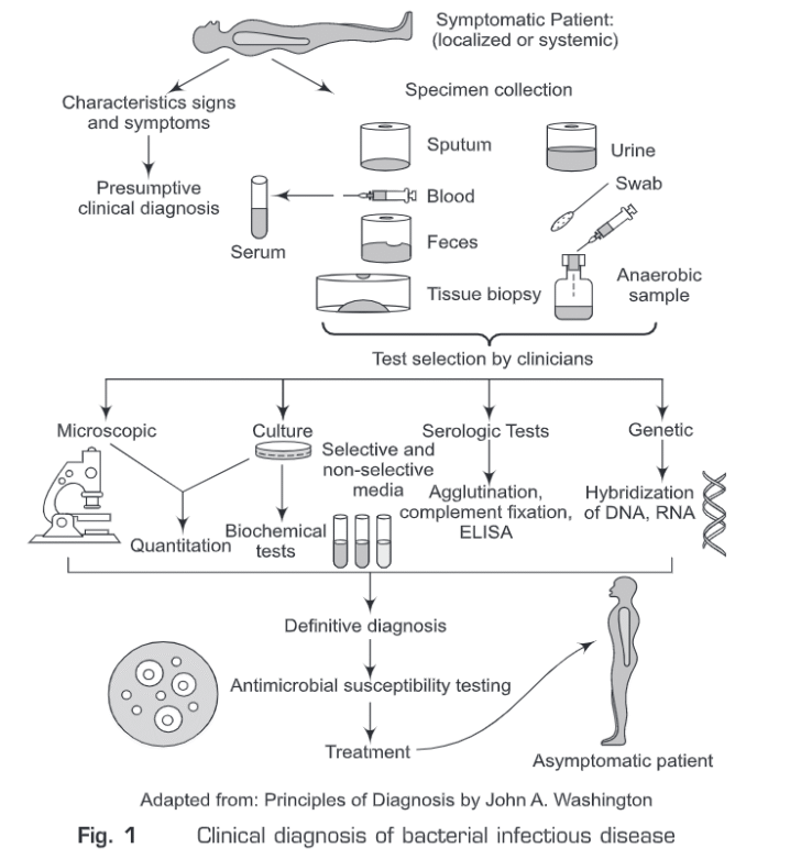 Bacterial Infection: Symptoms, Cause and Diagnosis