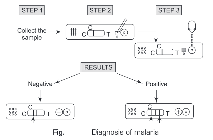 Parasitic Infection