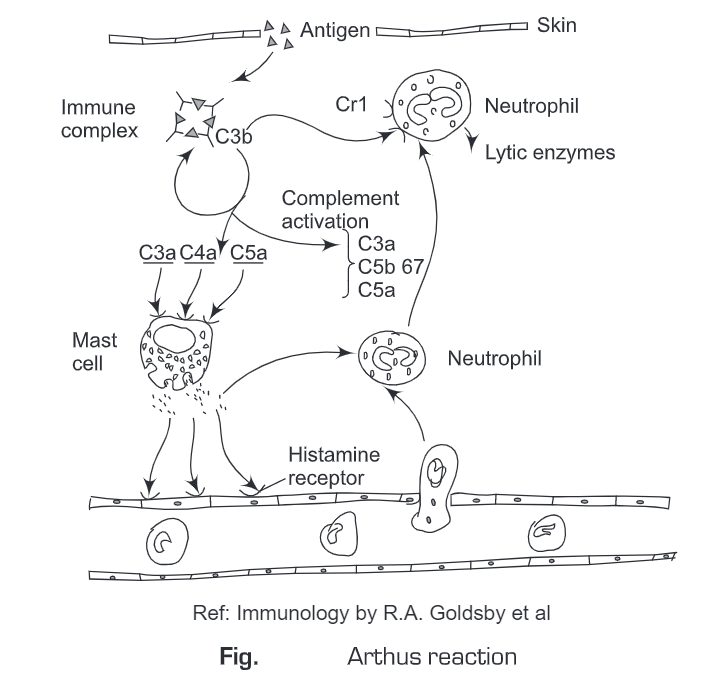 Hypersensitive Reactions