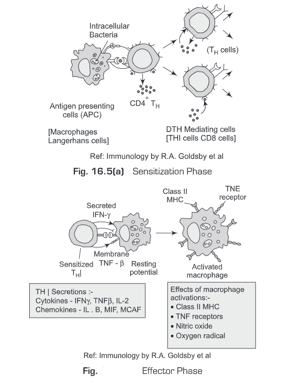 Hypersensitive Reactions