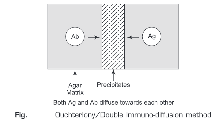 Antigen Antibody Reactions