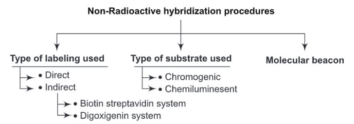 Non-Radioactive Hybridization Methods