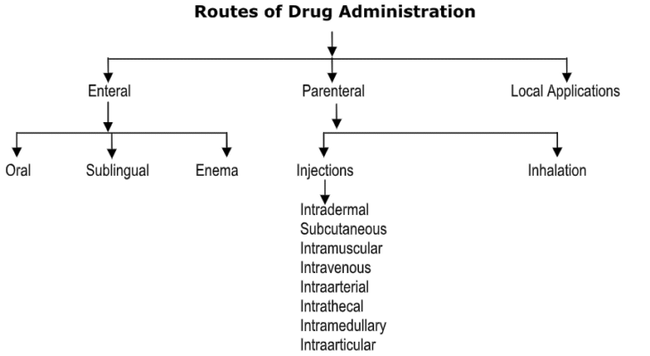 Routes of Drug Administration