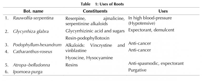 roots-definition-types-morphology-and-function-biology-ease