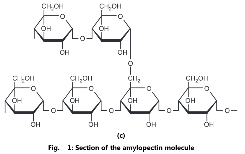 Classification of Carbohydrates