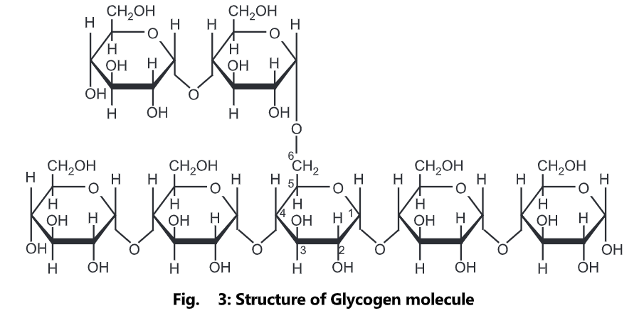 Classification of Carbohydrates