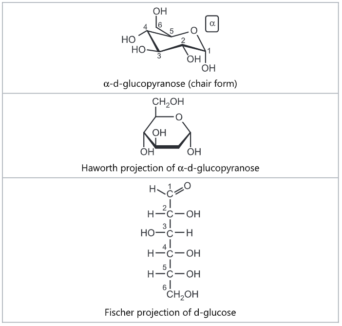 Classification of Carbohydrates