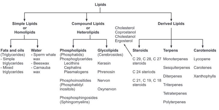 Classification of Lipids