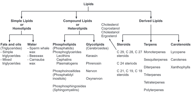 Classification of Lipids