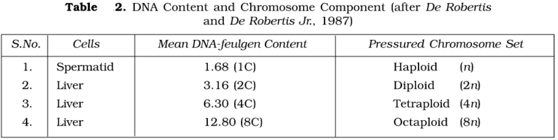 Chemical composition of Chromosomes