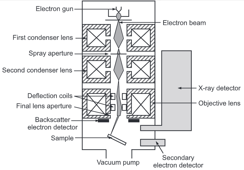 Scanning Electron Microscope