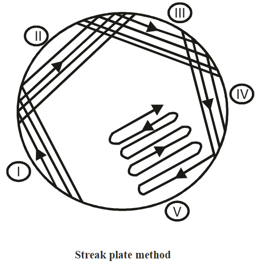 Streak plate method