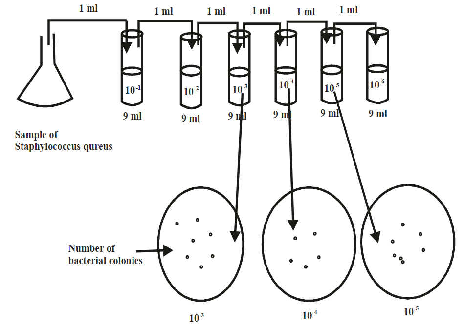 Spread plate method