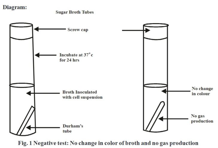 Biochemical Tests