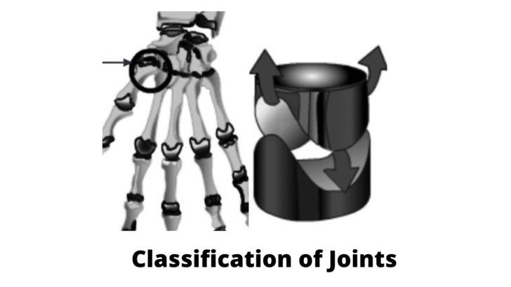 Classification of Joints