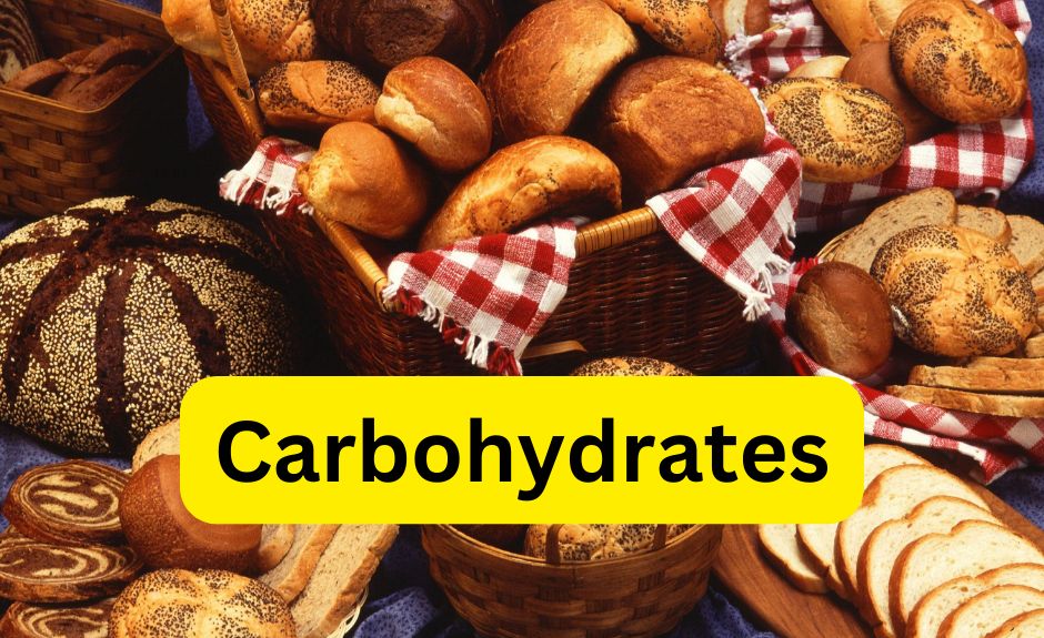 Carbohydrates MCQ - Biology Ease