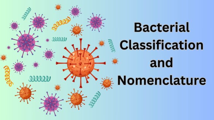 Bacterial Classification and Nomenclature