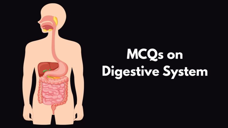 MCQ on Digestive System