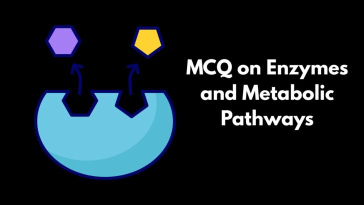 MCQ on Enzymes and Metabolic Pathways