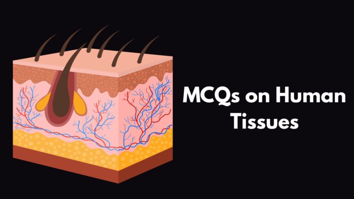 MCQ on Human Tissues