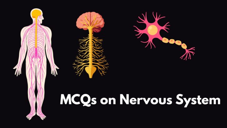 MCQ on Nervous System