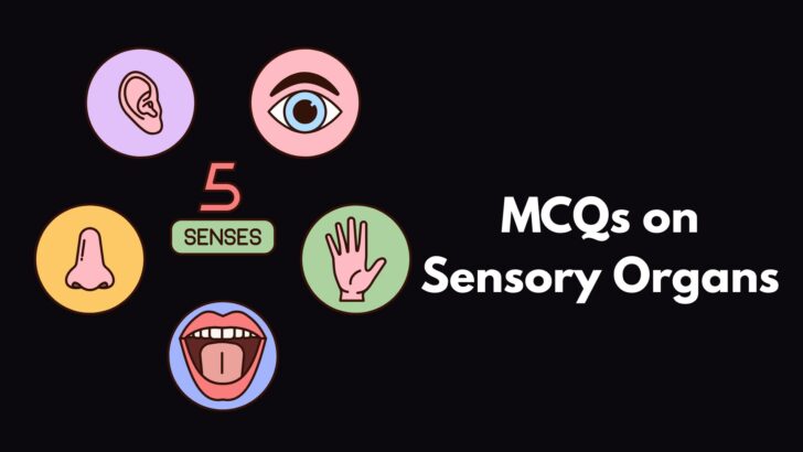 MCQ on Sensory Organs