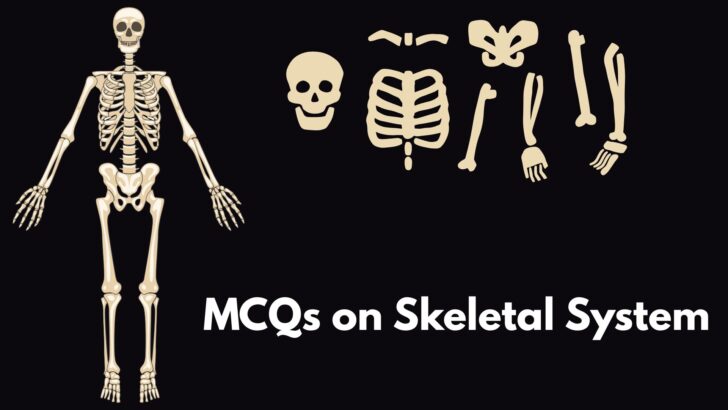 MCQ on Skeletal System