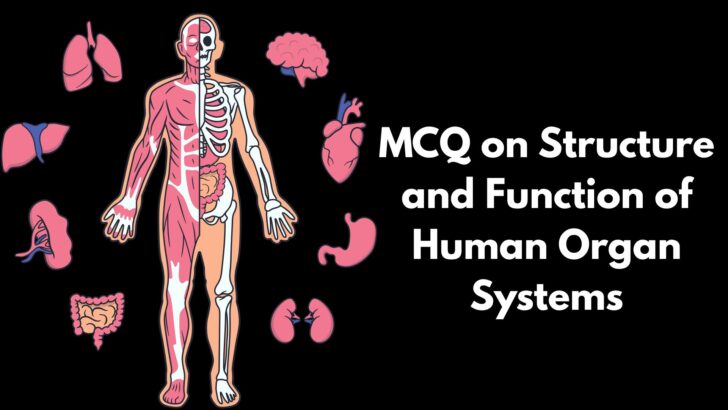 MCQ on Structure and Function of Human Organ Systems