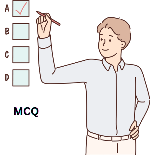 Multiple Choice Questions