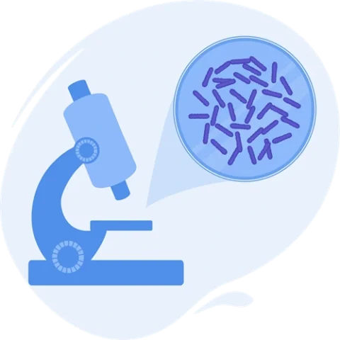 Koch’s Postulates Explained: History, Criteria & Modern Applications
