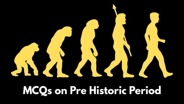 MCQ on Pre Historic Period