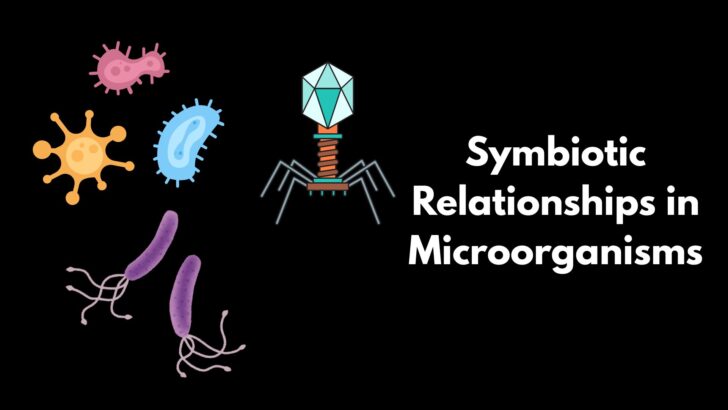 Symbiotic Relationships in Microorganisms