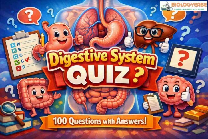 Digestive System MCQ