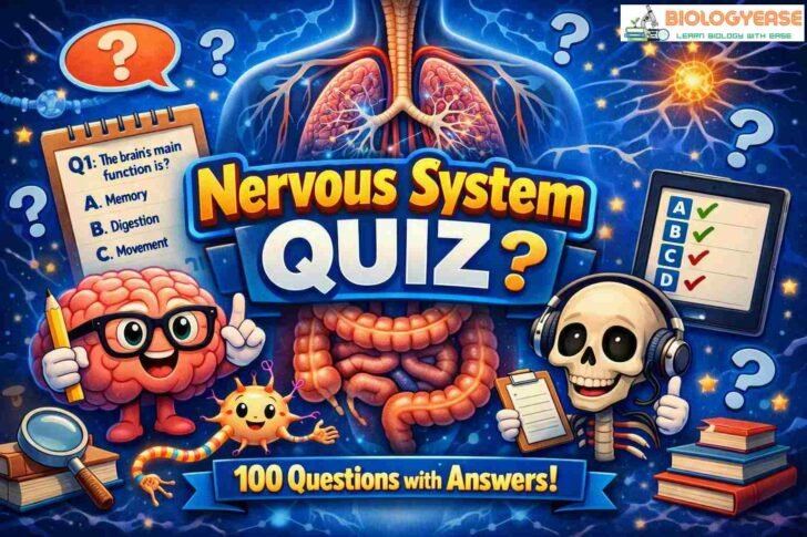 Nervous System MCQ